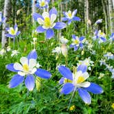 Review photo of Lynden-Bellingham KOA by Melani T., October 31, 2018