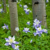 Review photo of Lynden-Bellingham KOA by Melani T., October 31, 2018