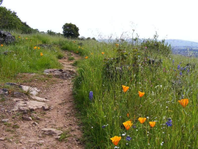 Camper-submitted photo at Lynden-Bellingham KOA near Sumas, WA