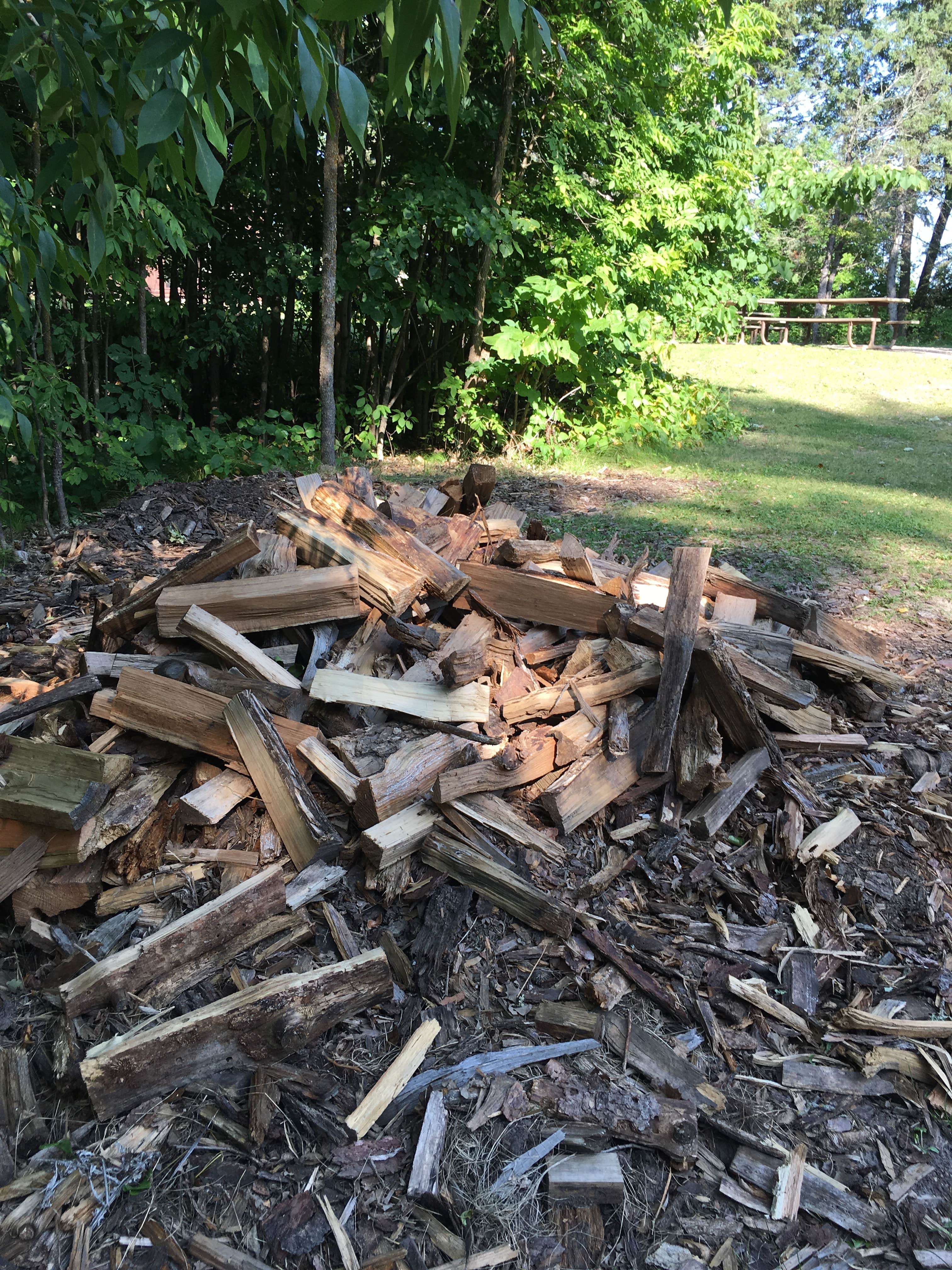 Camper submitted image from Elk Lake Group Site — Itasca State Park - 1