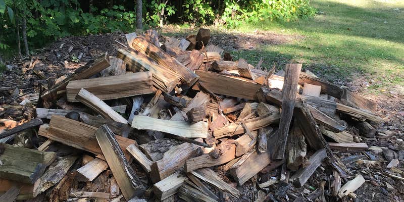 Camper submitted image from Elk Lake Group Site — Itasca State Park