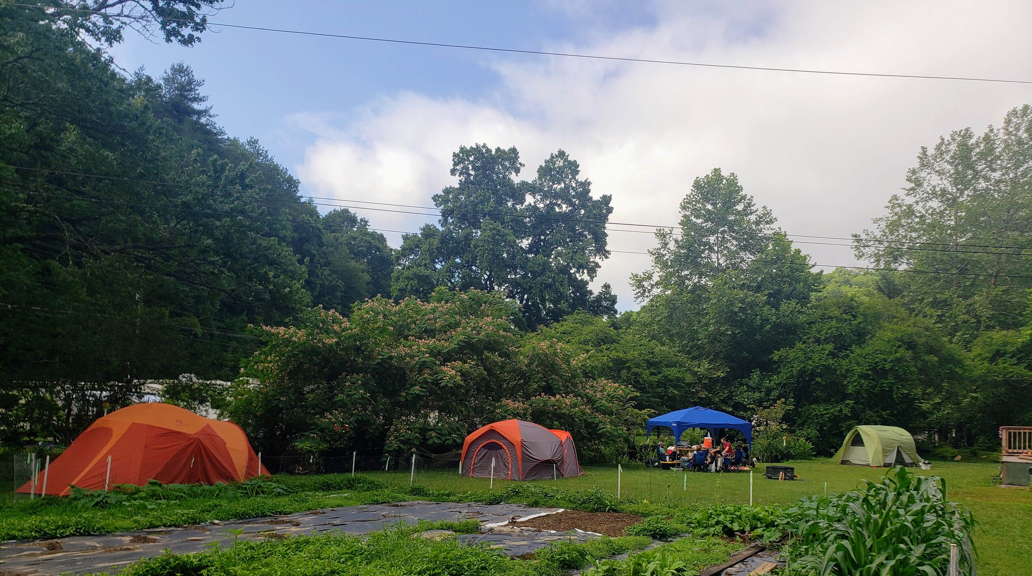 Camper submitted image from Conley's Creek Campground - 2