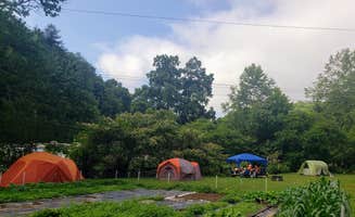 Anne H.'s photo at Conley's Creek Campground near Cherokee, NC
