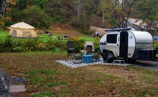 Anne H.'s photo of camping with pets at Conley's Creek Campground near Cherokee, NC