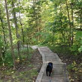 Review photo of Elk Lake Group Site — Itasca State Park by Janet R., October 31, 2018