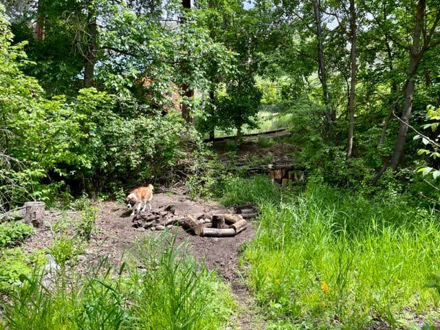 Camper-submitted photo at Swiftwater Farm near Entiat, WA