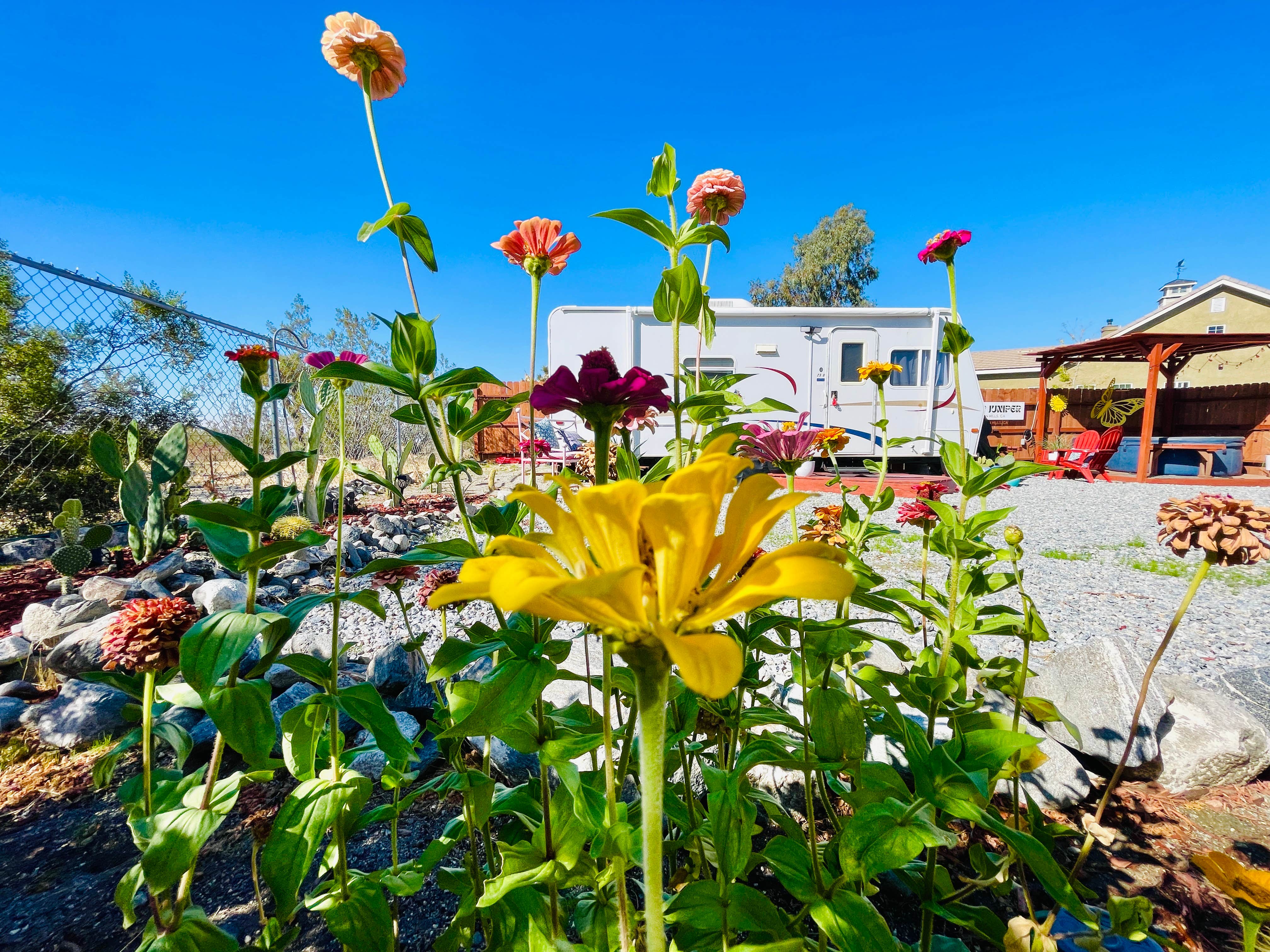 Camper-submitted photo at Camp Juniper near Valyermo, CA
