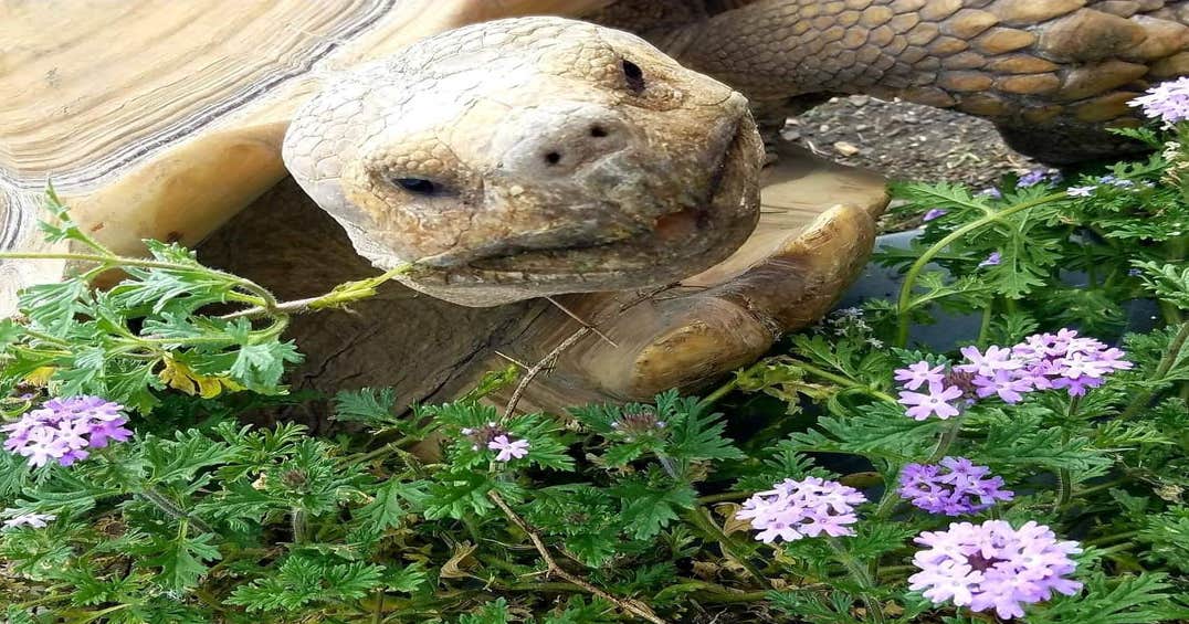 Turtle Ranch Camping and RV