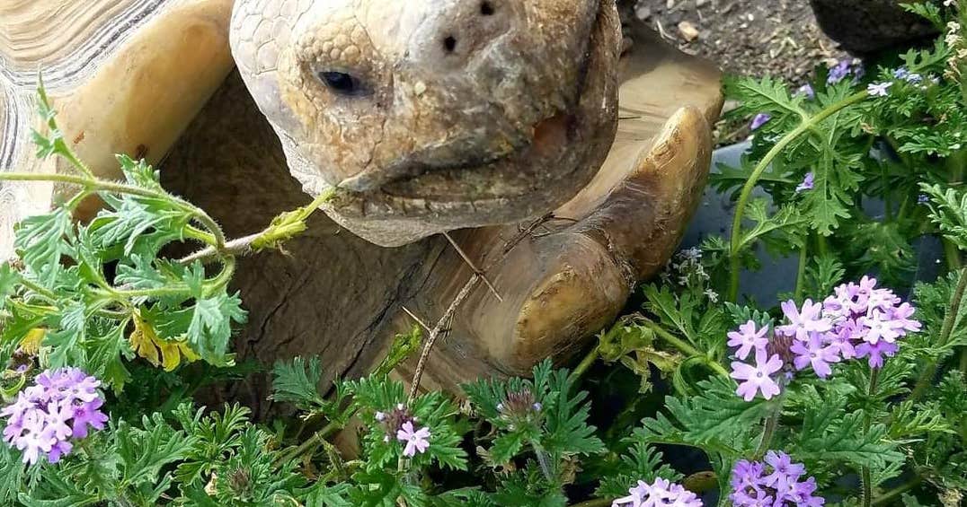 Turtle Ranch Camping and RV