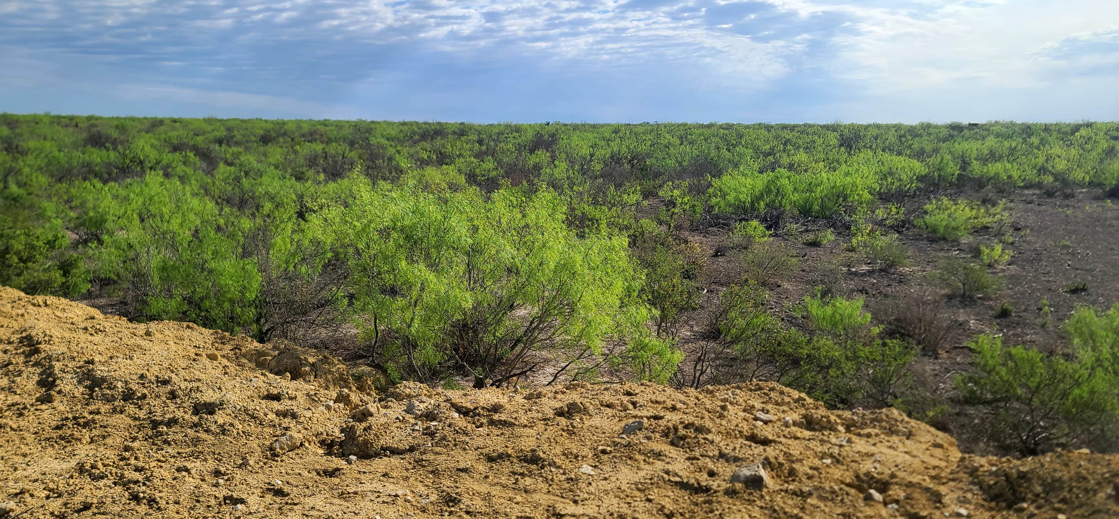 Camper-submitted photo at Turtle Ranch Camping and RV near Eagle Pass, TX