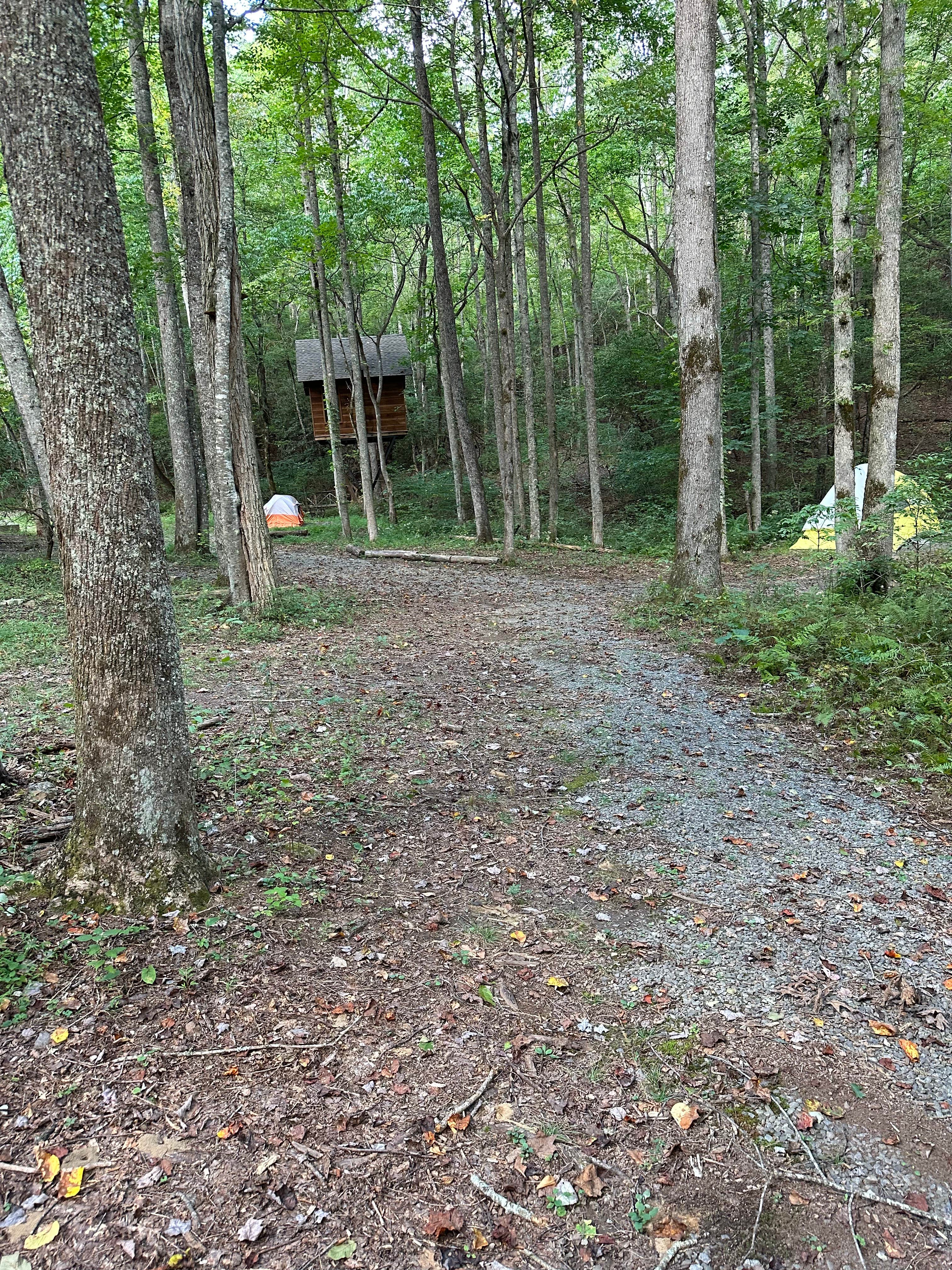 Carolyn S.'s photo of tent camping at Fall Getaway for up to 15 people at the Private, Tri-mountain Retreat in Beautiful Ellijay, Georgia near Murrayville, GA