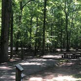 Review photo of Old Stone Fort State Archaeological Park by Shelly S., October 31, 2018