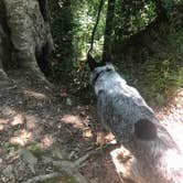 Review photo of Old Stone Fort State Archaeological Park by Shelly S., October 31, 2018