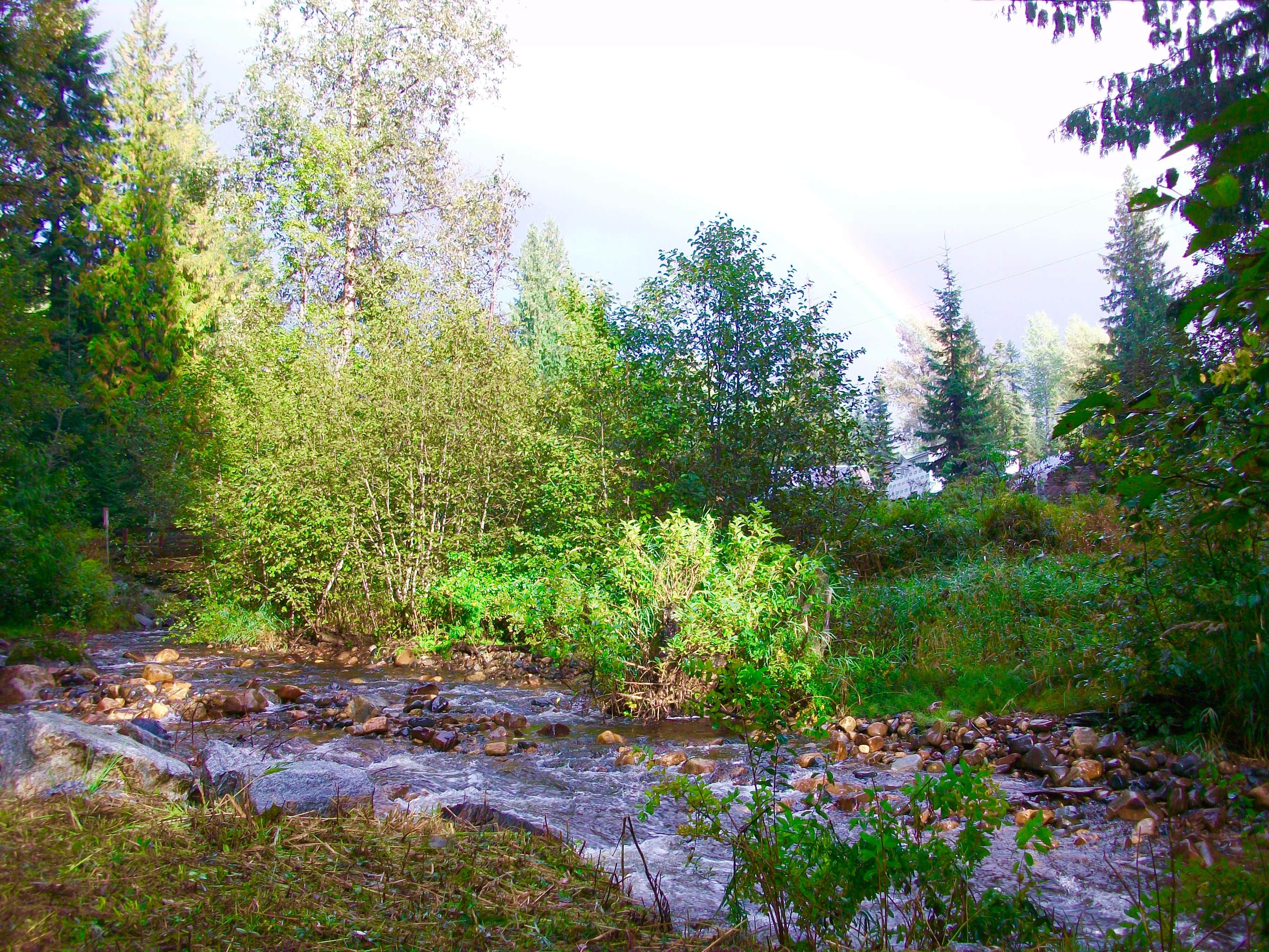 Camper-submitted photo at Elysium Woods near Sandpoint, ID