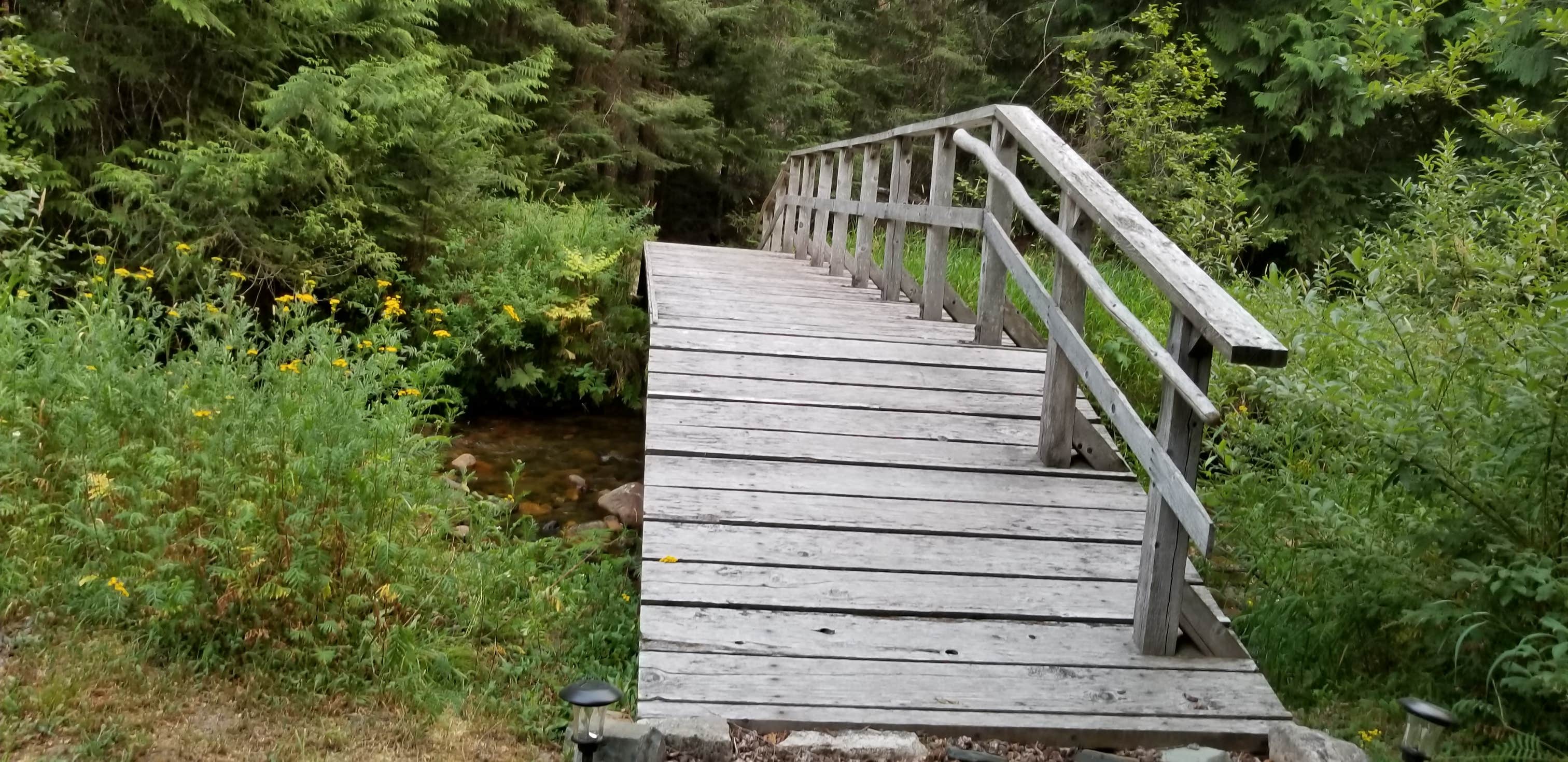 Camper-submitted photo at Elysium Woods near Sandpoint, ID