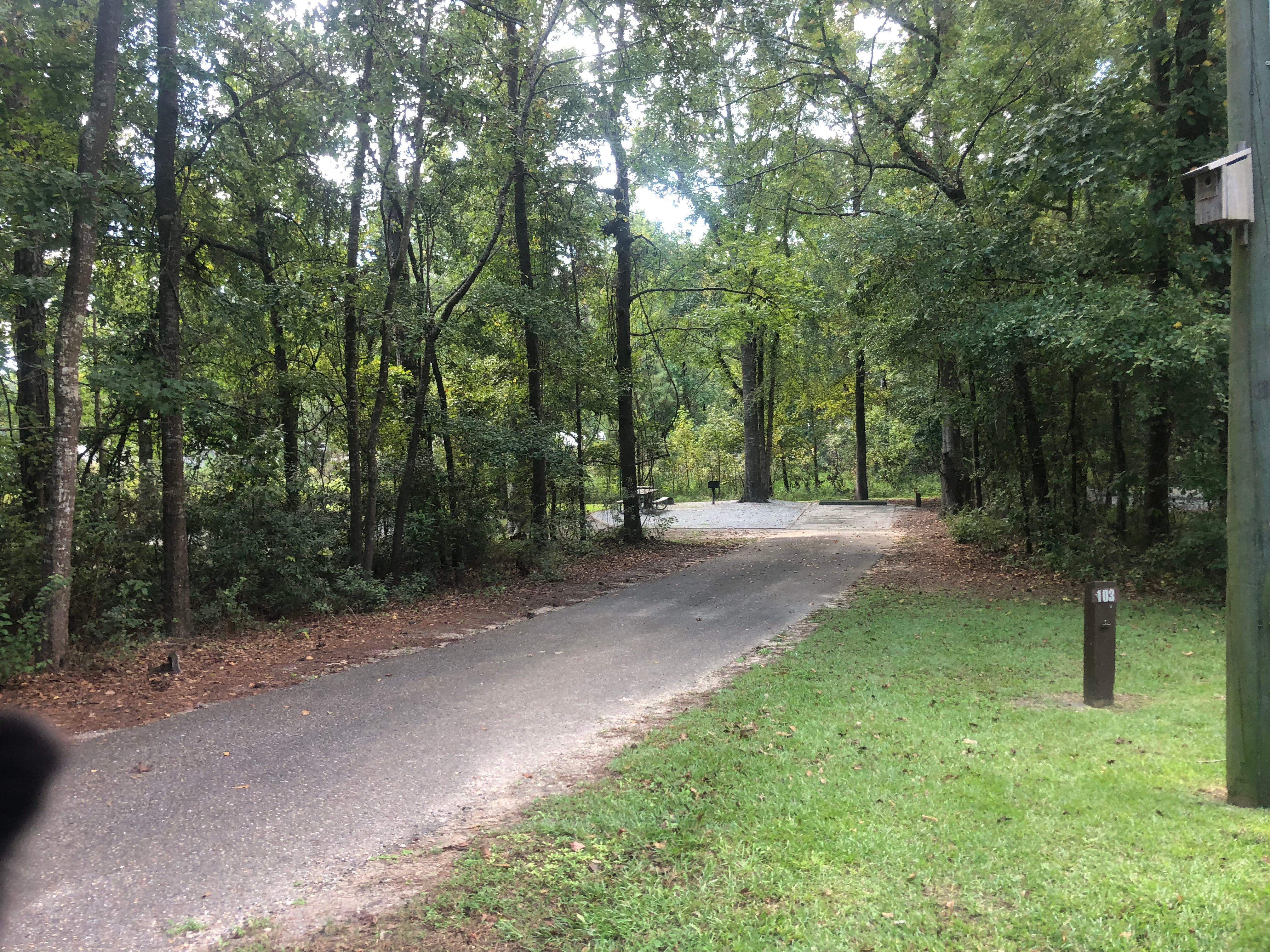 Camper submitted image from White Oak (creek) Campground - 3