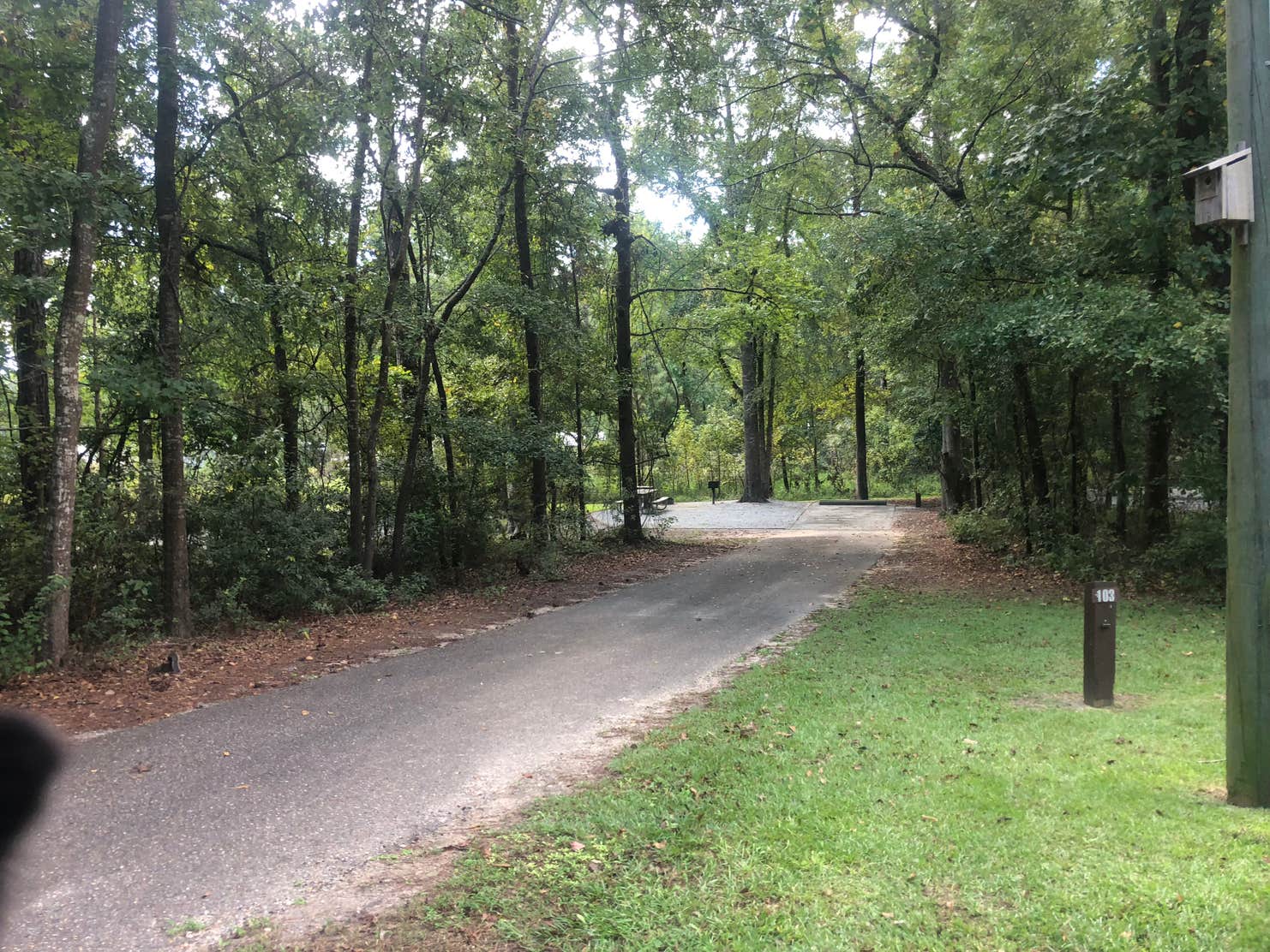 White Oak (Creek) Campground | The Dyrt