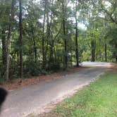 Review photo of COE Walter F George Lake White Oak Creek Campground by Shelly S., October 31, 2018