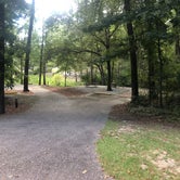 Review photo of COE Walter F George Lake White Oak Creek Campground by Shelly S., October 31, 2018