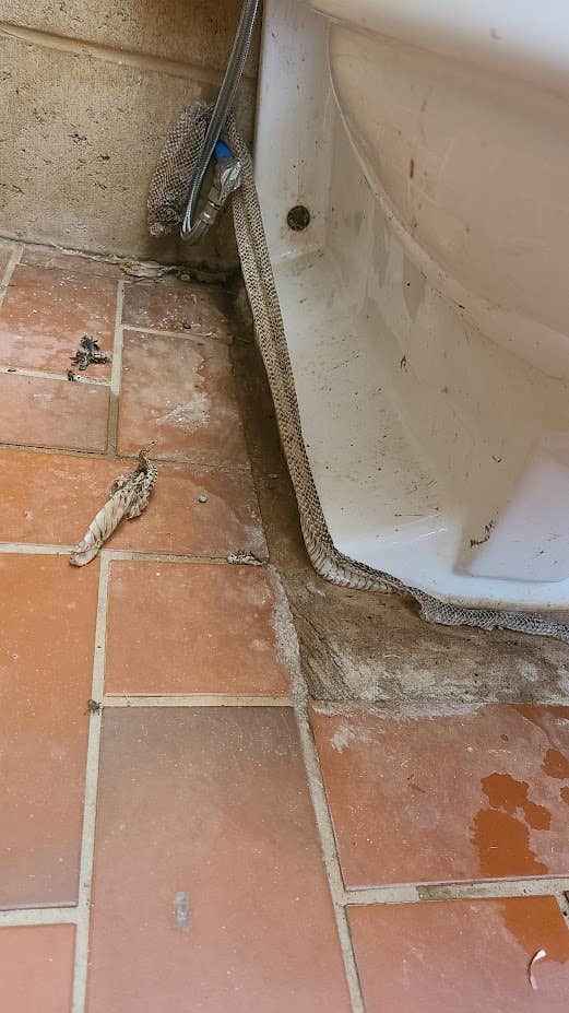 Camper-submitted photo at Kiowa Park II Marina near Waurika Lake