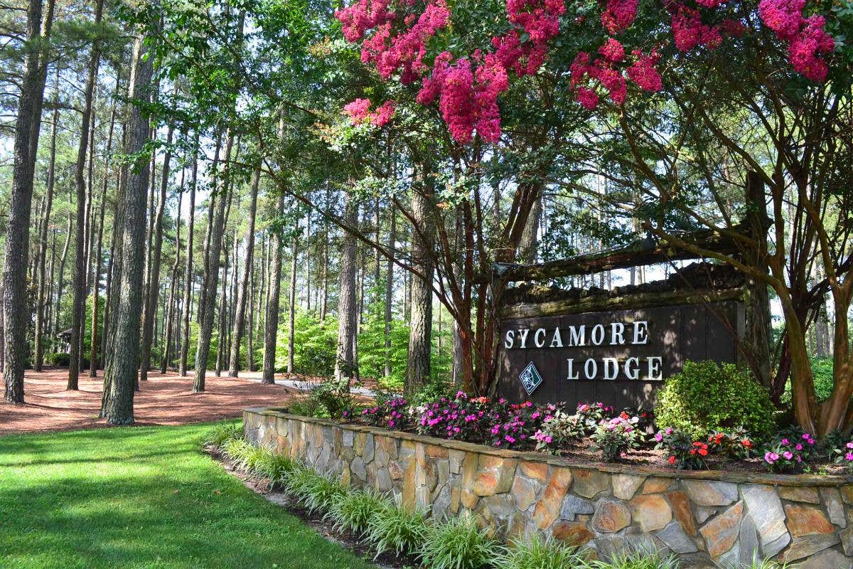 Camper-submitted photo at Sycamore Lodge near Rockingham, NC