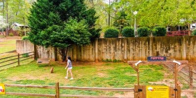 Camper-submitted photo at North Shore Landing near Greensboro, GA