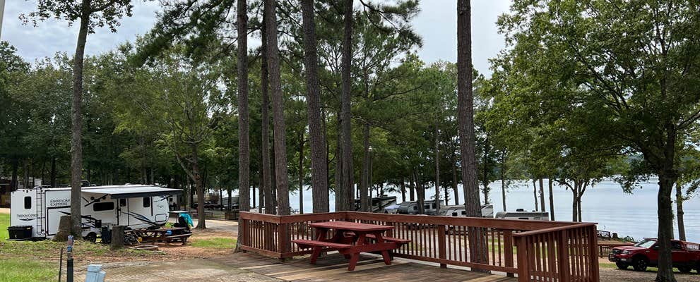 Camper-submitted photo at North Shore Landing near Greensboro, GA