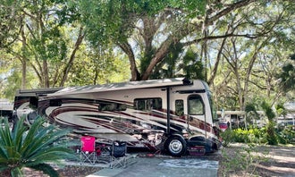 Camping near Flying Eagle Preserve: Thousand Palms Resort, Lake Panasoffkee, Florida