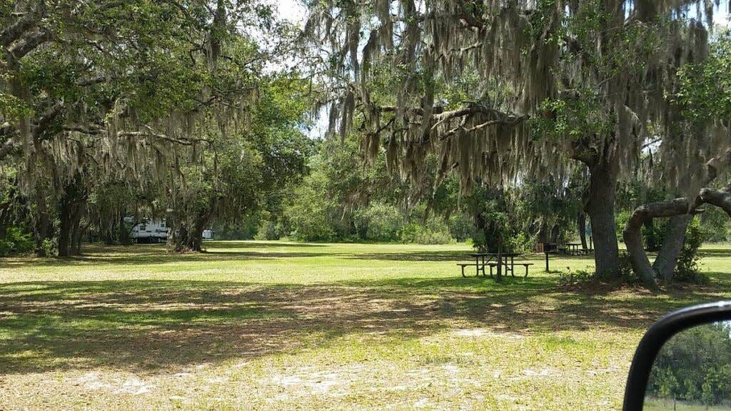 Camper-submitted photo at Thousand Palms Resort near Hernando, FL
