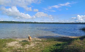 Laura M.'s photo of camping with pets at Mabel Lake Campground near Aitkin, MN