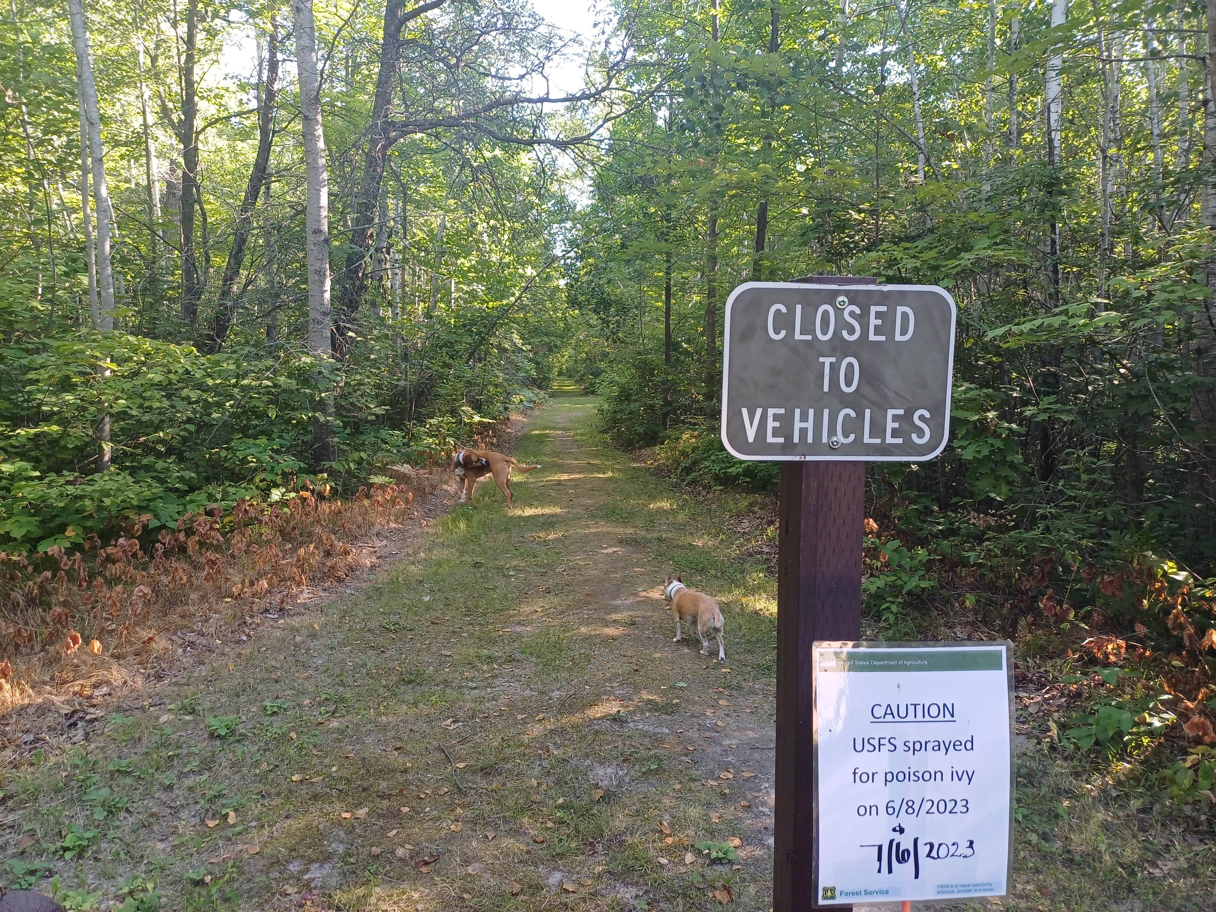Laura M.'s photo of camping with pets at Mabel Lake Campground near Cohasset, MN