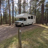 Review photo of Center Lake Campground — Custer State Park by Laura M., October 5, 2023