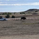 Review photo of Sage Creek Campground by Laura M., October 5, 2023