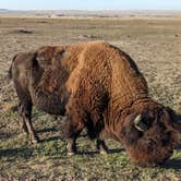 Review photo of Sage Creek Campground by Laura M., October 5, 2023