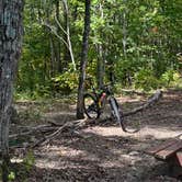 Review photo of Camp Creek State Park Campground by Joseph B., October 5, 2023