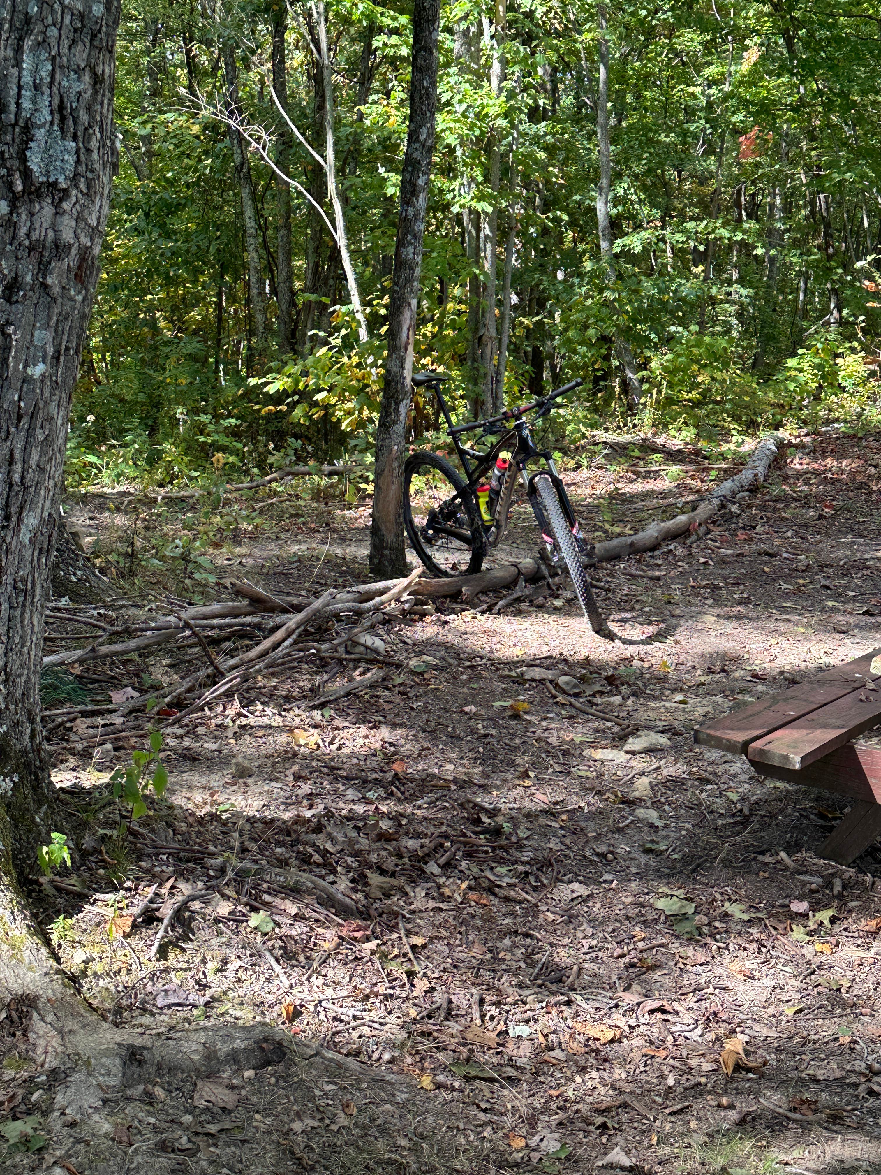 Camper submitted image from Camp Creek State Park Campground - 3