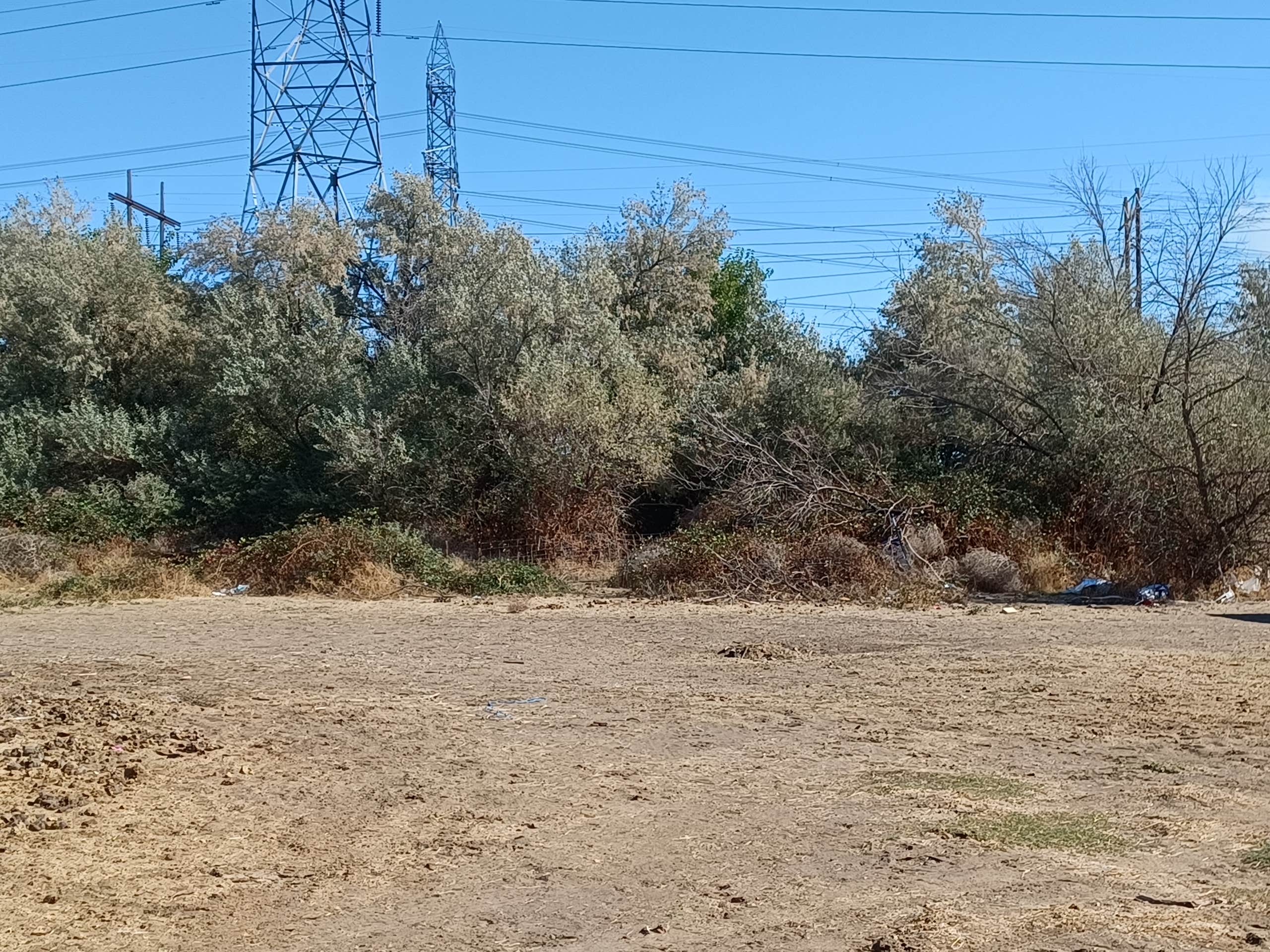 Camper-submitted photo at The Farm near Umatilla, OR
