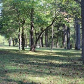 Review photo of Maple Springs Campground — Mammoth Cave National Park by Bounding Around , October 31, 2018