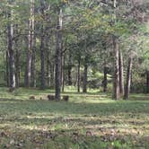 Review photo of Maple Springs Campground — Mammoth Cave National Park by Bounding Around , October 31, 2018