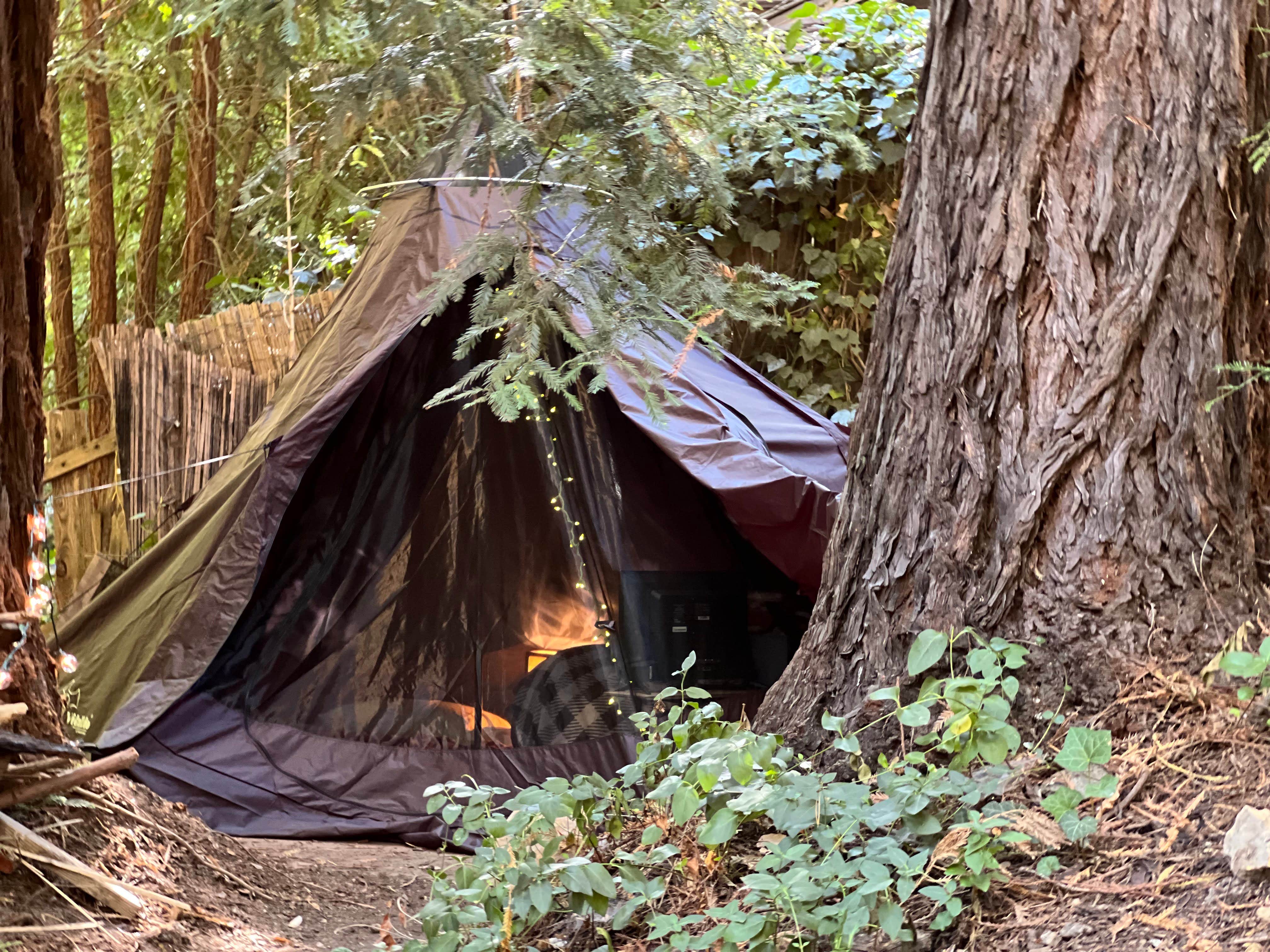 Sky W.'s photo of tent camping at SkyWanda Sanctuary near Capitola, CA