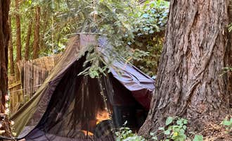 Camping near Ben Ries Campground — Butano State Park: SkyWanda Sanctuary, Woodside, California