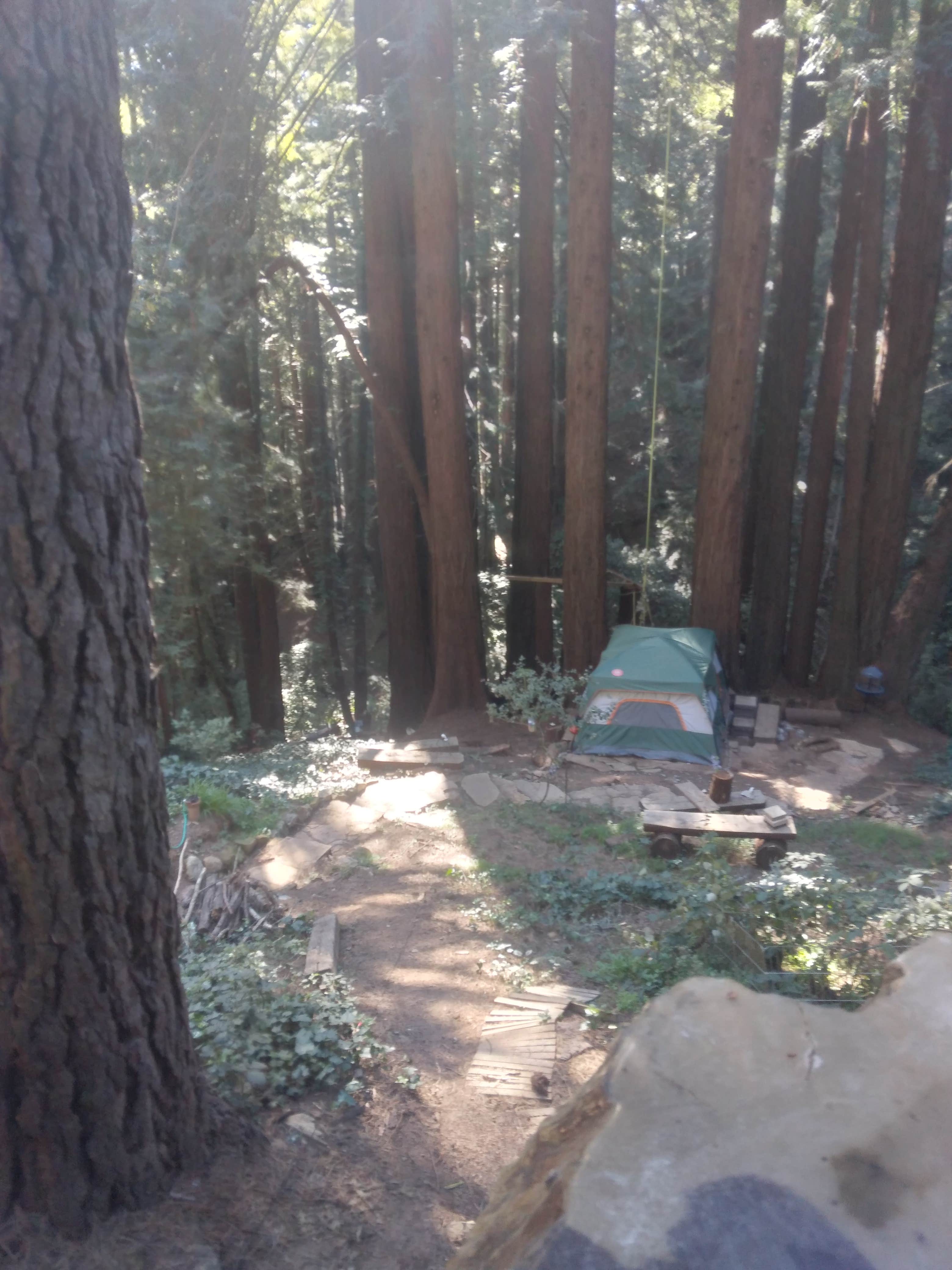 Camper-submitted photo at SkyWanda Sanctuary near Pescadero, CA