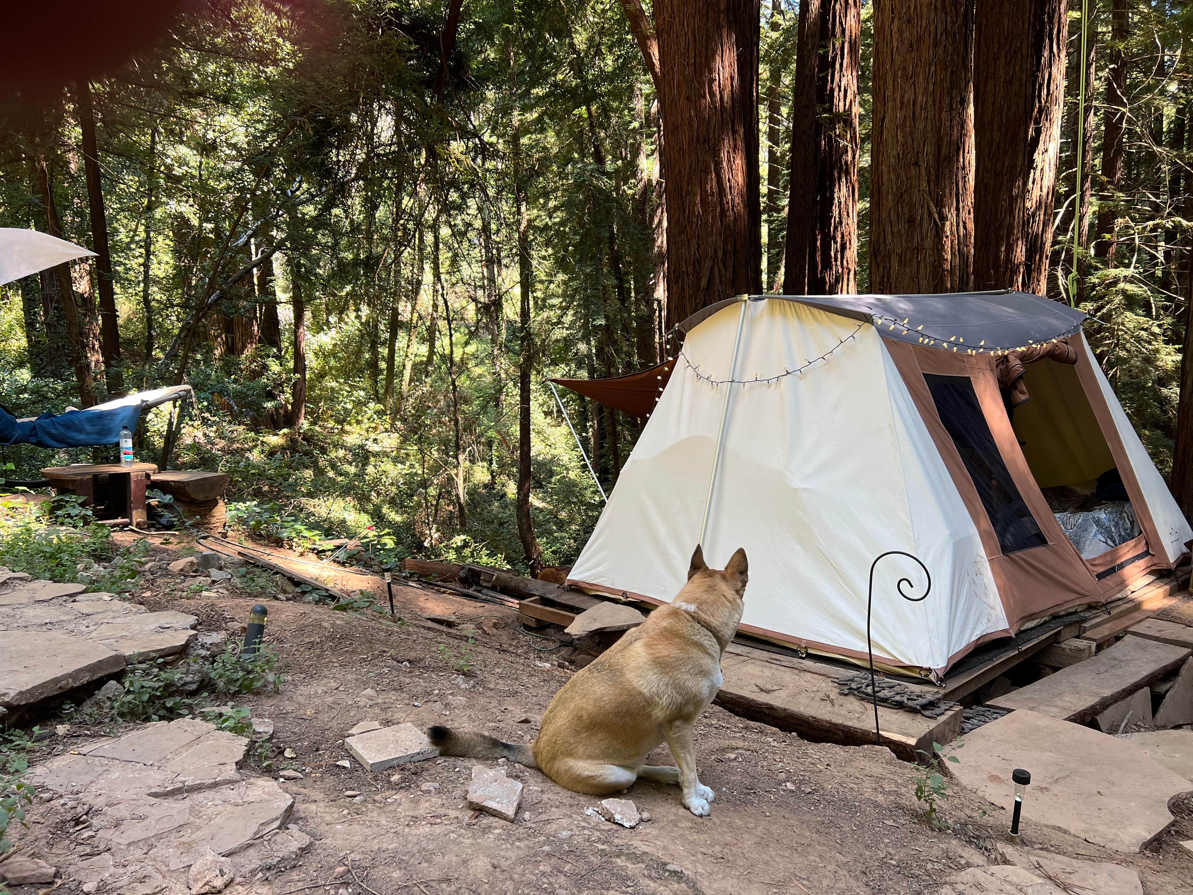 Camper-submitted photo at SkyWanda Sanctuary near Pescadero, CA