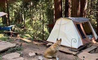 Sky W.'s photo of camping with pets at SkyWanda Sanctuary near Belmont, CA