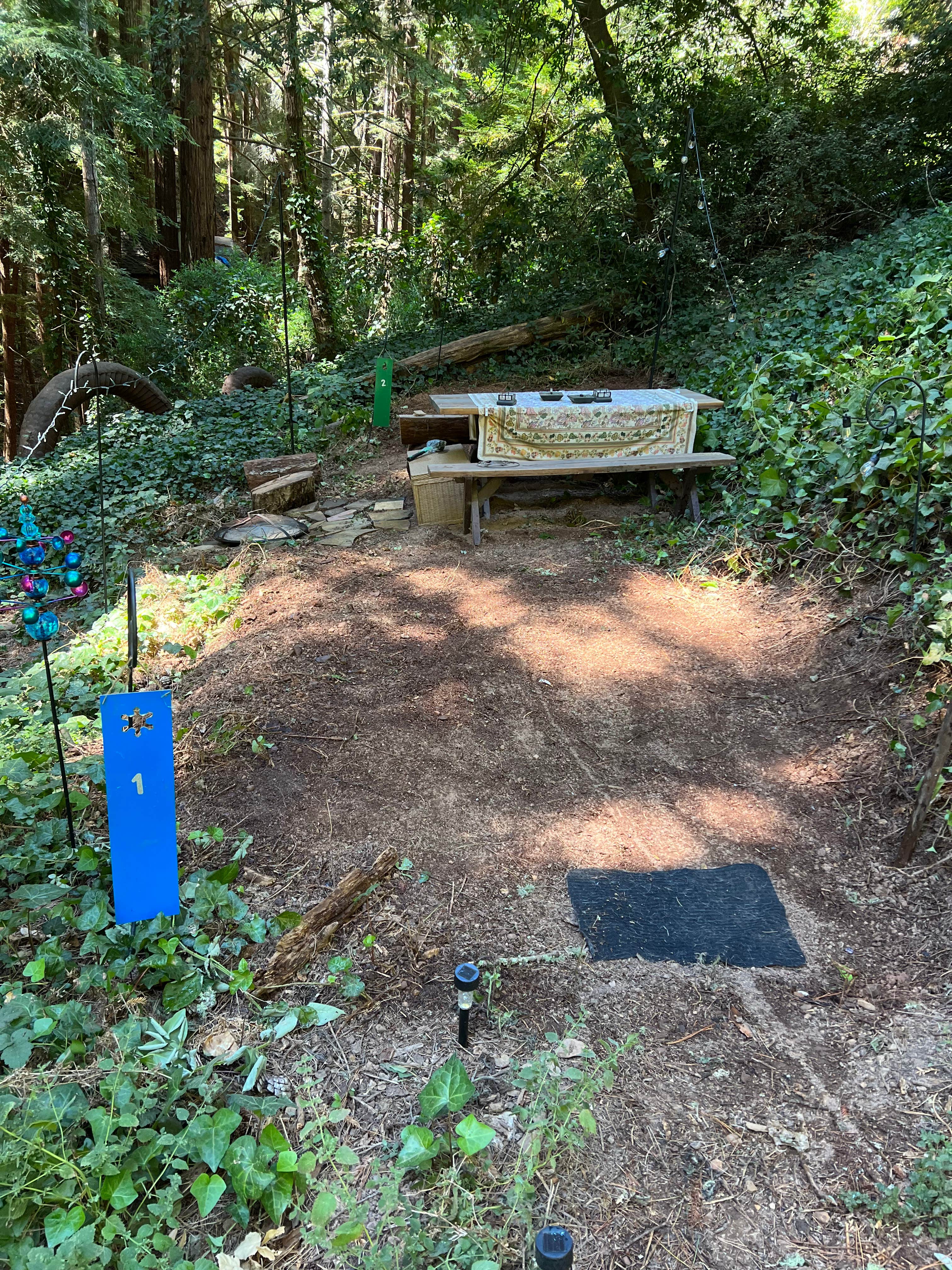 Camper-submitted photo at SkyWanda Sanctuary near Pescadero, CA