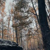 Review photo of Cub Lake Campground #2 — Natchez Trace State Park by Ron B., October 6, 2023