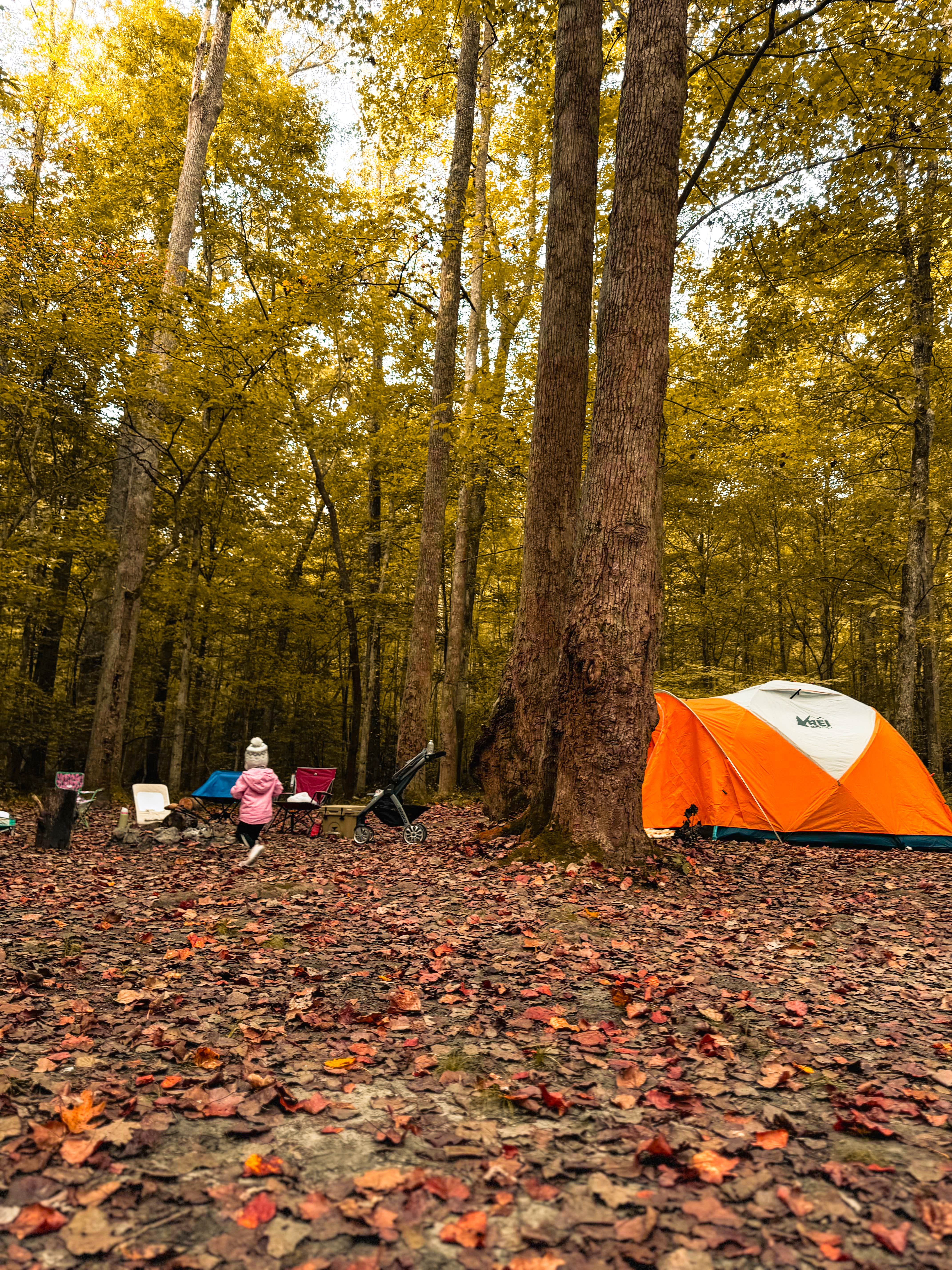 Ron B.'s photo at Cub Lake Campground #2 — Natchez Trace State Park near Eva, TN