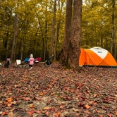 Review photo of Cub Lake Campground #2 — Natchez Trace State Park by Ron B., October 6, 2023