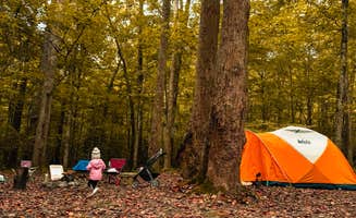Ron B.'s photo at Cub Lake Campground #2 — Natchez Trace State Park near Eva, TN