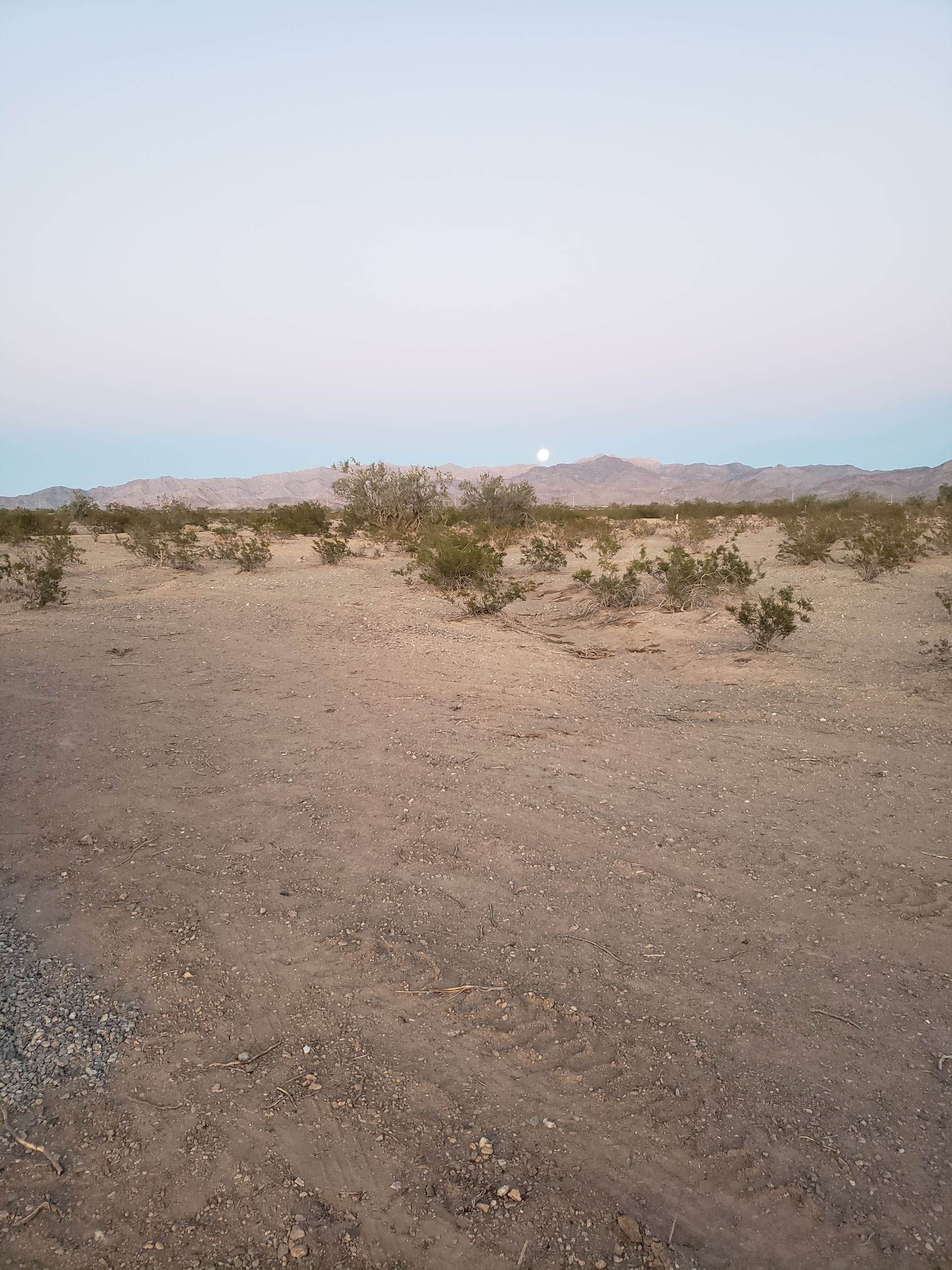 Camper-submitted photo at Steve and Dawn Desert Getaway near Salome, AZ